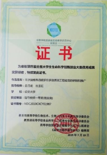 教师获奖证书 教师获奖证书